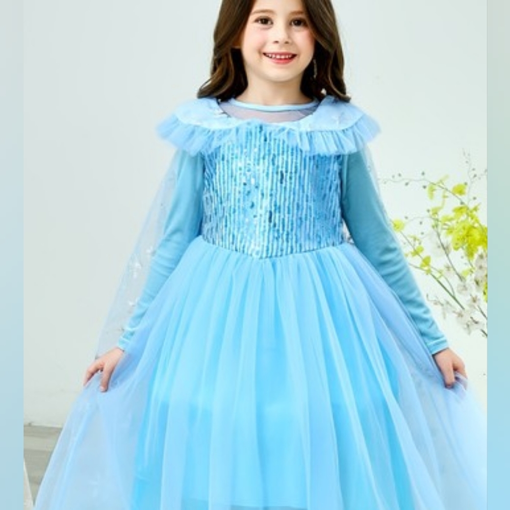 Elsa froze dress for party and special Costume Only  Few Avaliable - Picture 3 of 7